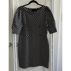 Ann Taylor Size 12 Polka-Dot Dress